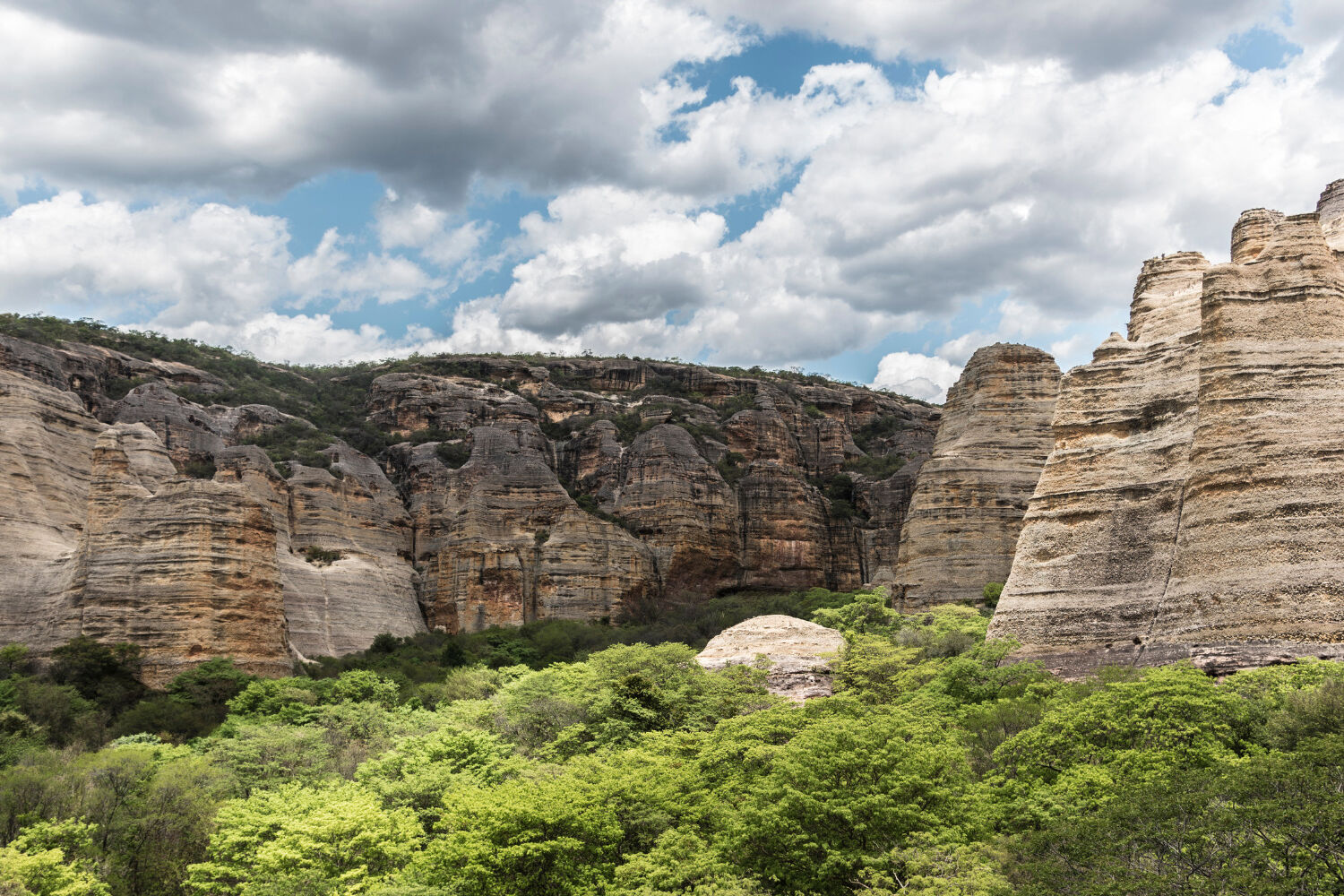 ÂNFORA COM MACACOS - SERRA DA CAPIVARA